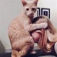 Setúbal massagem sexual